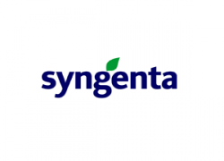 Descrição da imagem: logo da Syngenta.